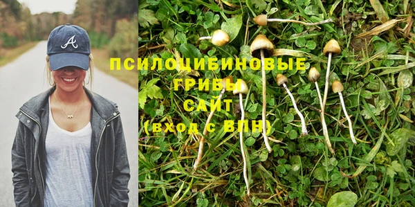 бутират Пролетарск