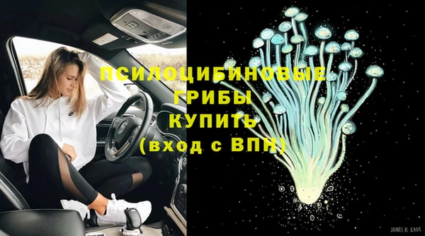 дурь Алзамай