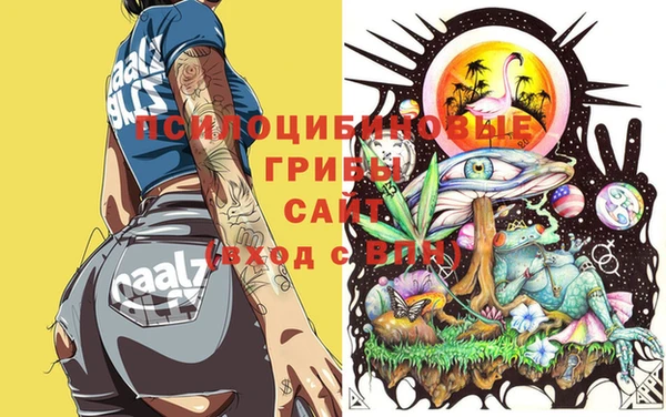 кокаин колумбия Алексин
