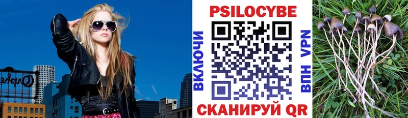 Галлюциногенные грибы прущие грибы  продажа наркотиков  Венёв 